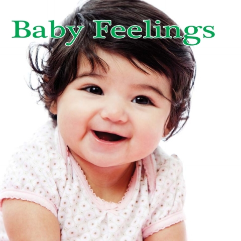 Cover image for book Baby Feelings