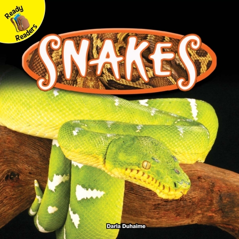 Cover image for book Snakes