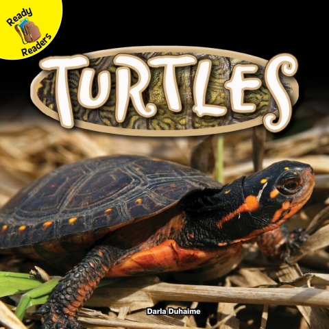 Cover image for book Turtles