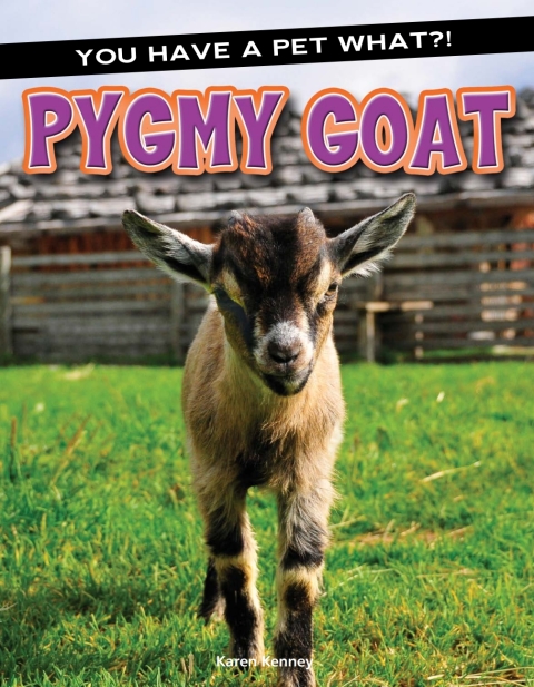 Cover image for book Pygmy Goat