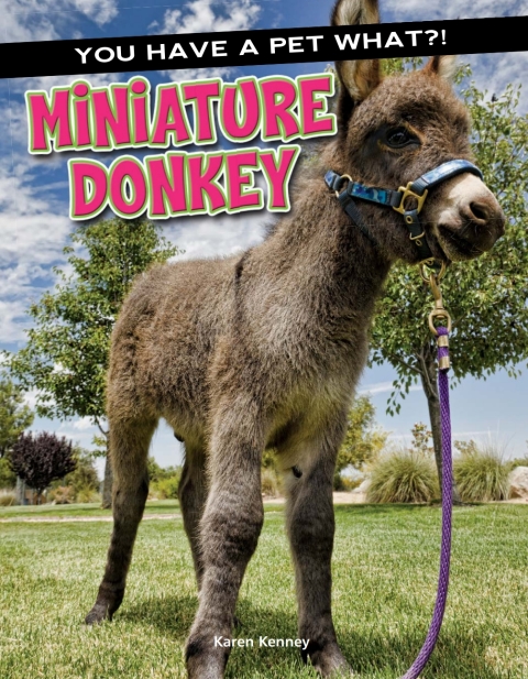Cover image for book Miniature Donkey