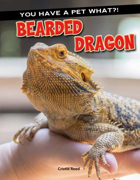 Cover image for book Bearded Dragon