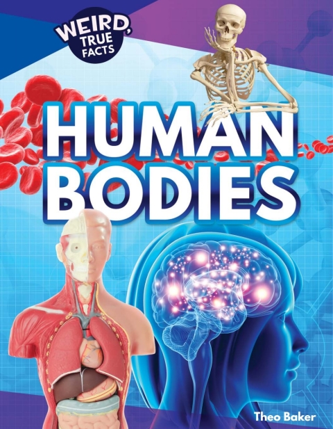 Cover image for book Human Bodies