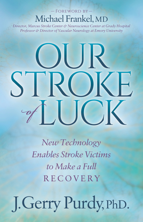 Cover image for book Our Stroke of Luck