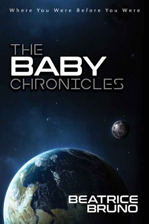 Cover image for book The Baby Chronicles