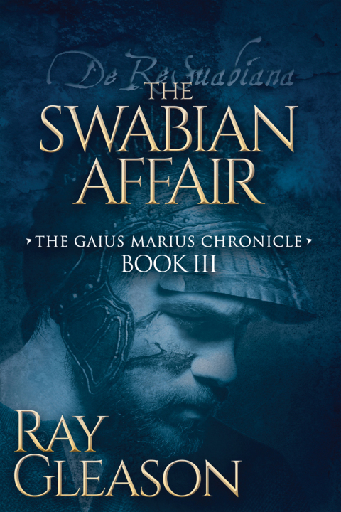Cover image for book The Swabian Affair