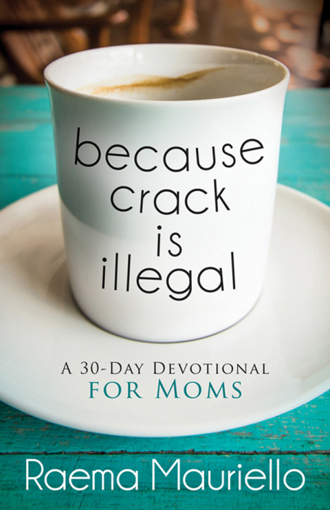 Cover image for book Because Crack Is Illegal