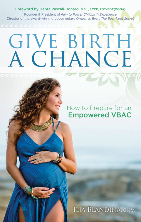 Cover image for book Give Birth a Chance