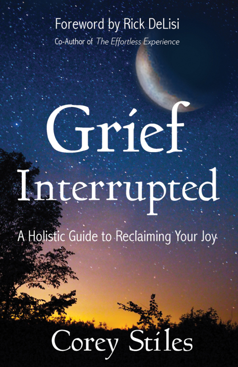 Cover image for book Grief Interrupted