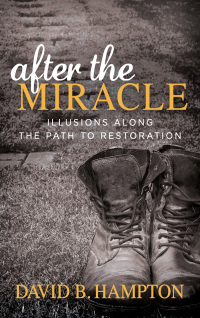Cover image: After the Miracle 9781683505785