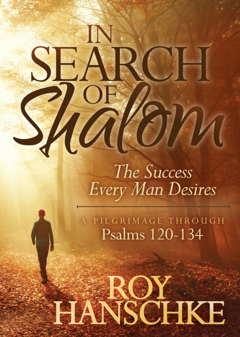 Cover image for book In Search of Shalom