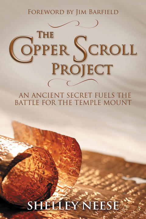 Cover image for book The Copper Scroll Project