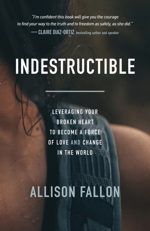 Cover image for book Indestructible