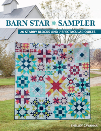 Cover image: Barn Star Sampler 9781683562078