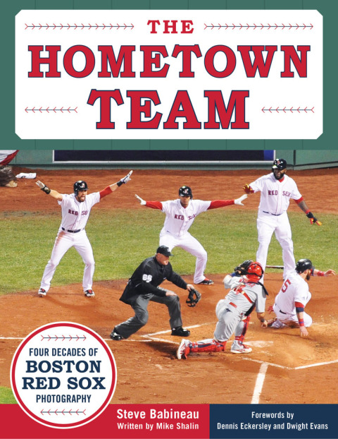 Cover image for book The Hometown Team