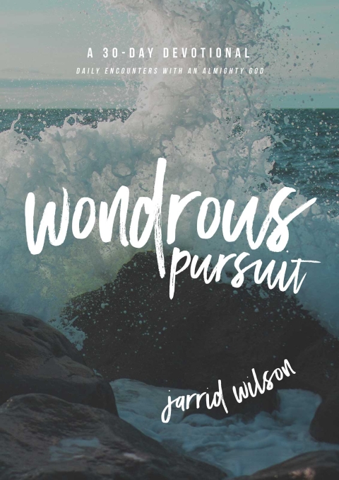 Cover image for book Wondrous Pursuit