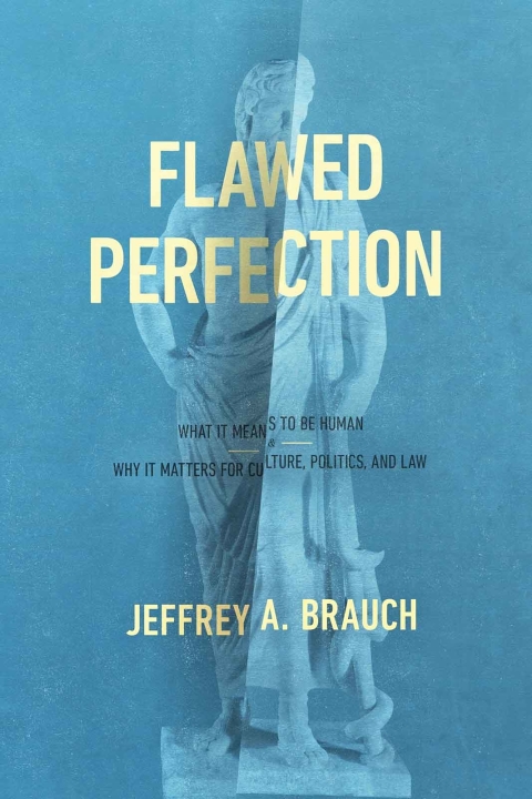 Cover image for book Flawed Perfection