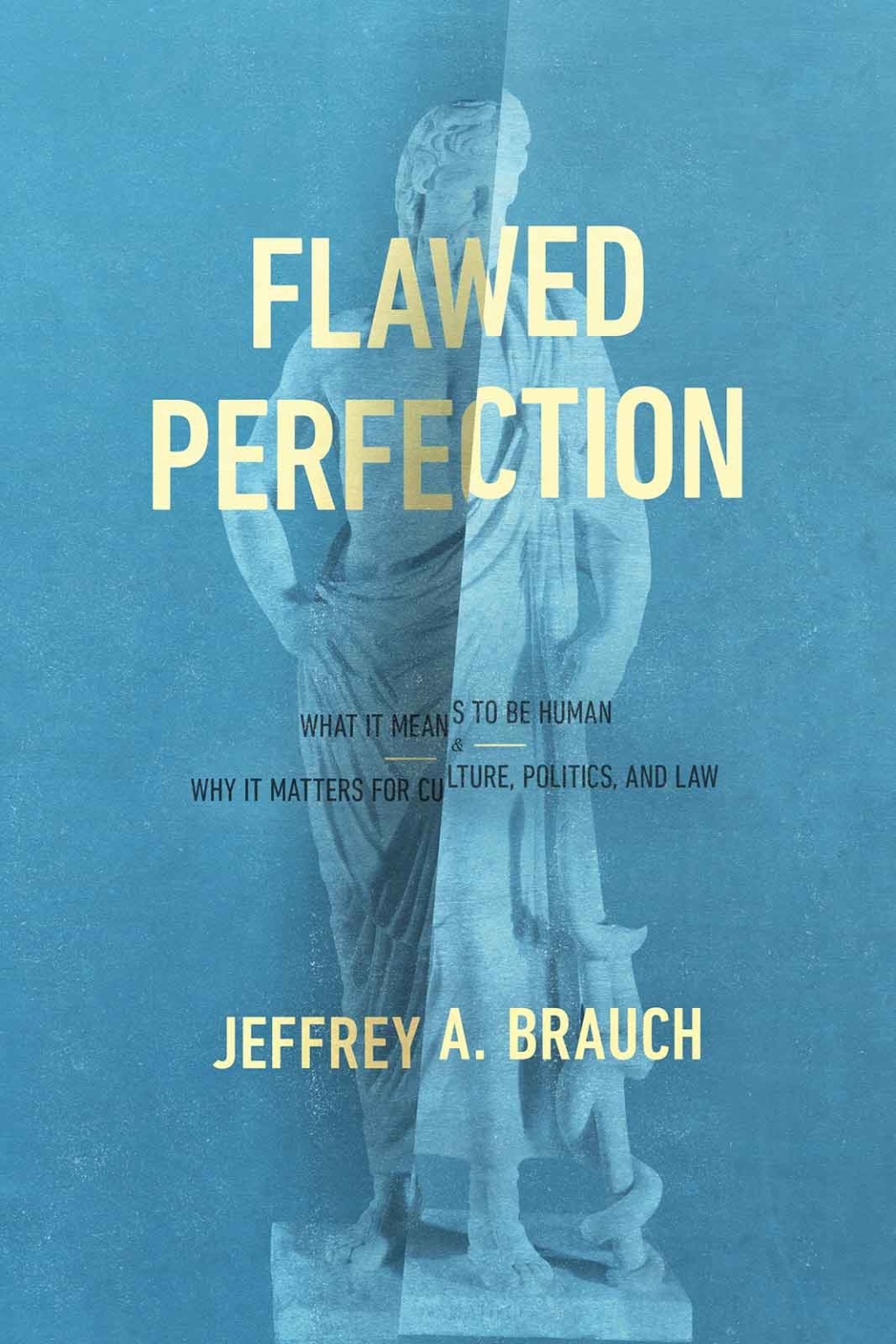 Reflowable Flawed Perfection; $29.97