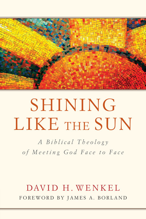 Cover image for book Shining Like the Sun