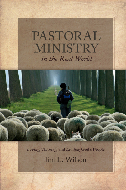 Cover image for book Pastoral Ministry in the Real World