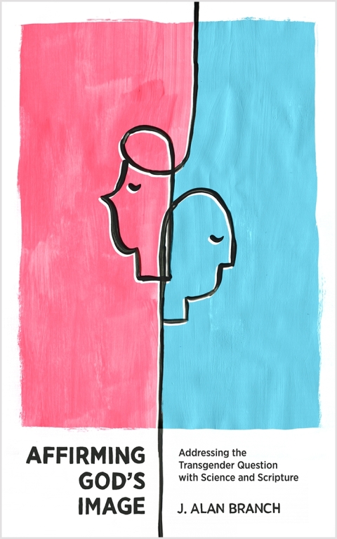Cover image for book Affirming God's Image