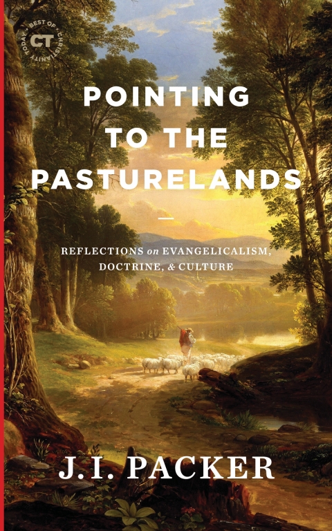 Cover image for book Pointing to the Pasturelands