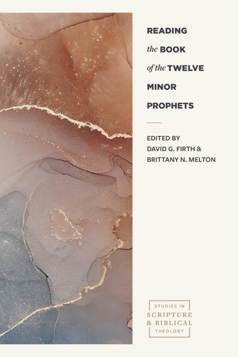 Cover image for book Reading the Book of the Twelve Minor Prophets