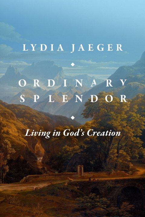 Cover image for book Ordinary Splendor