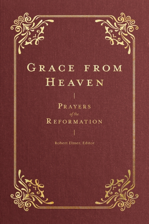 Cover image for book Grace from Heaven