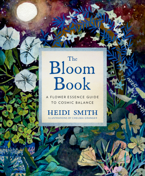 Cover image for book The Bloom Book