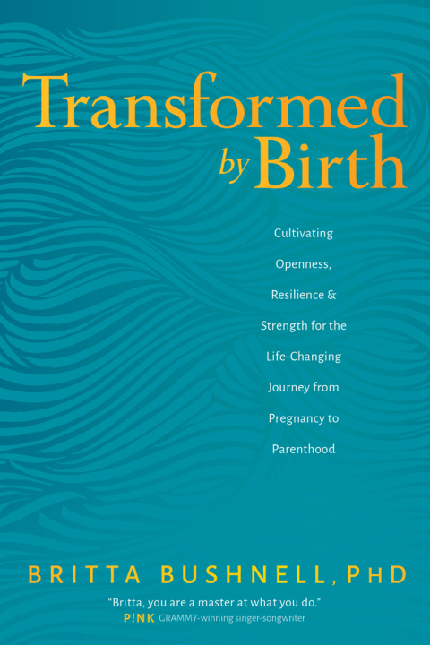 Cover image for book Transformed by Birth