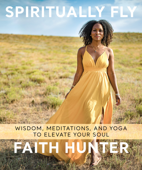 Cover image for book Spiritually Fly