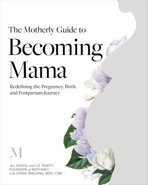 Cover image for book The Motherly Guide to Becoming Mama
