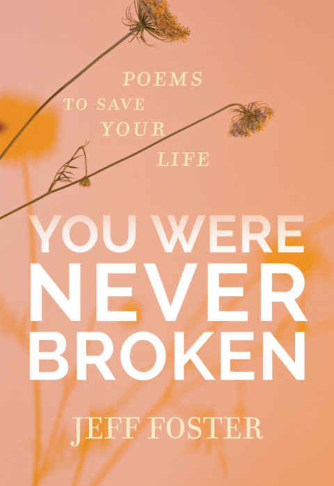 Cover image for book You Were Never Broken