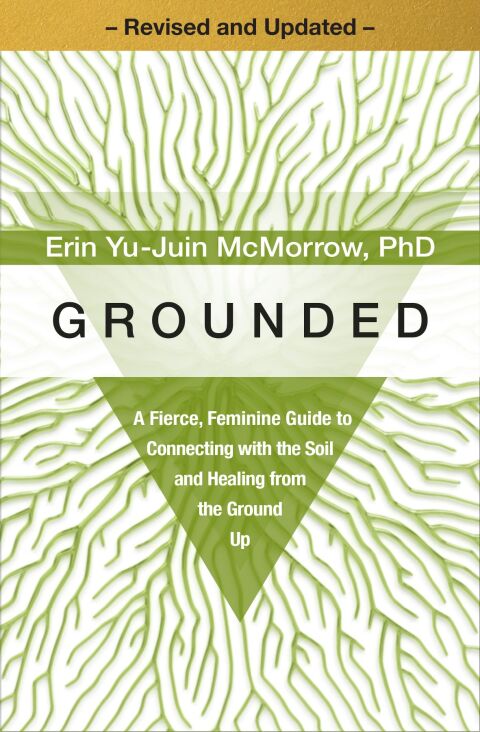 Cover image for book Grounded