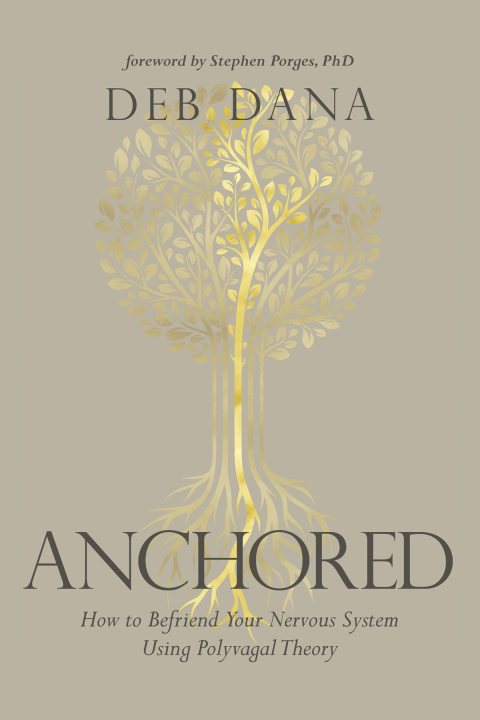 Cover image for book Anchored