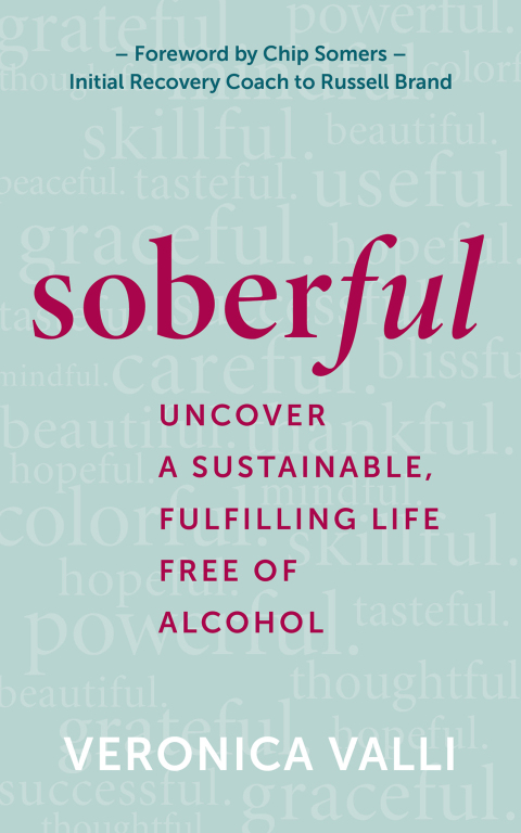 Cover image for book Soberful