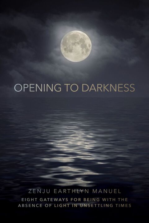 Cover image for book Opening to Darkness