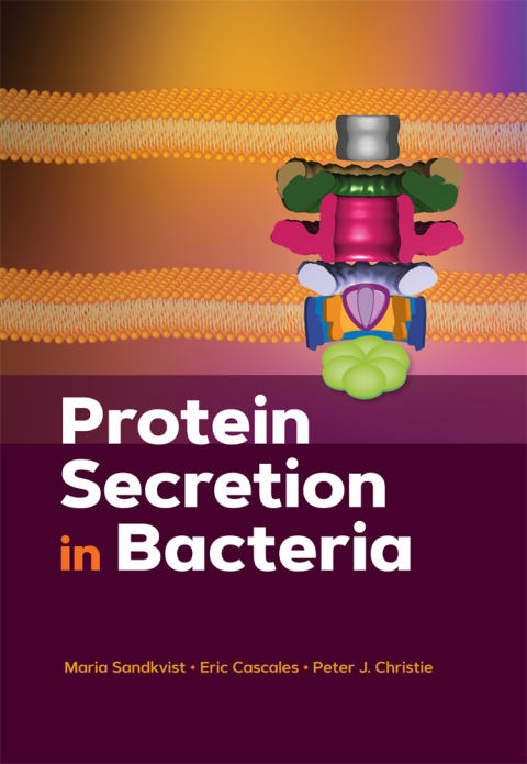 Cover image for book Protein Secretion in Bacteria