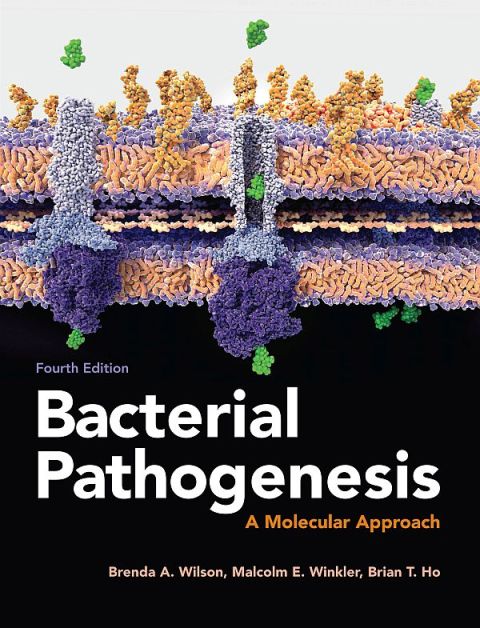 Bacterial Pathogenesis: A Molecular Approach 
