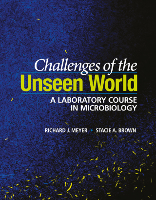 Challenges of the Unseen World