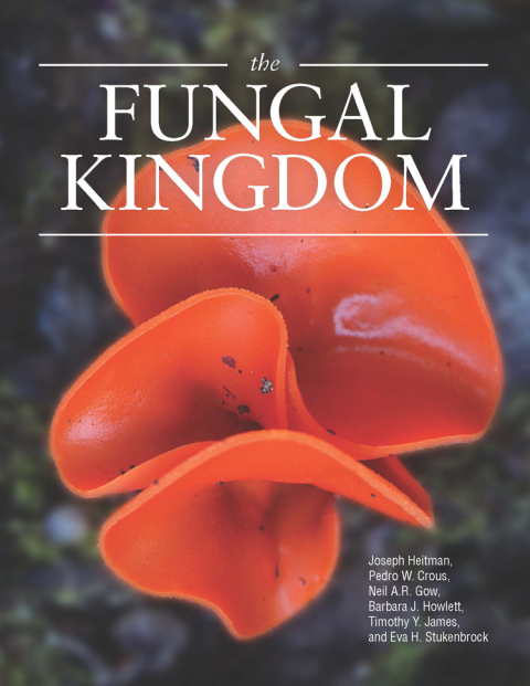 Cover image for book The Fungal Kingdom