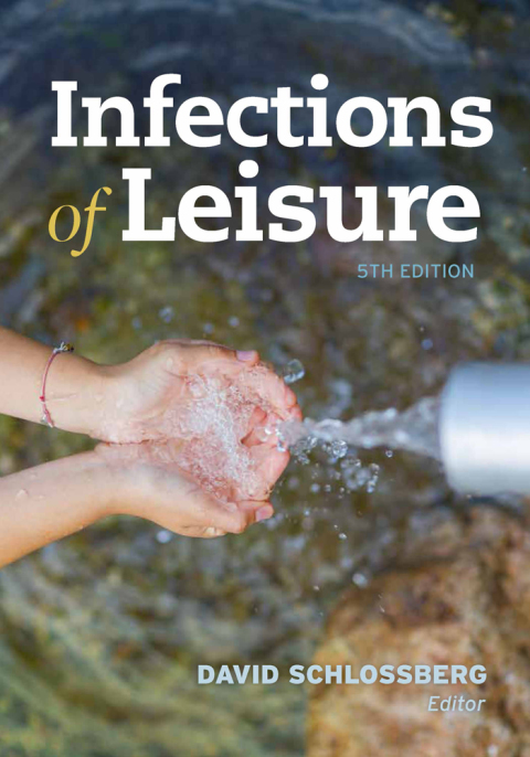 Cover image for book Infections of Leisure