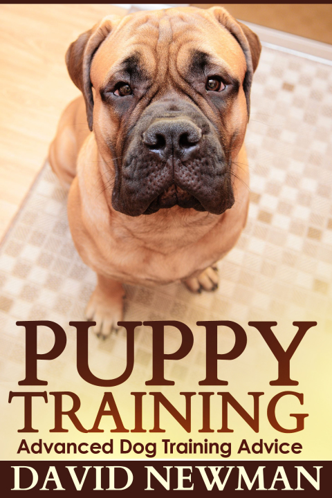 Cover image for book Puppy Training