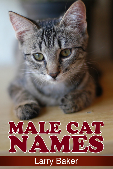 Cover image for book Male Cat Names