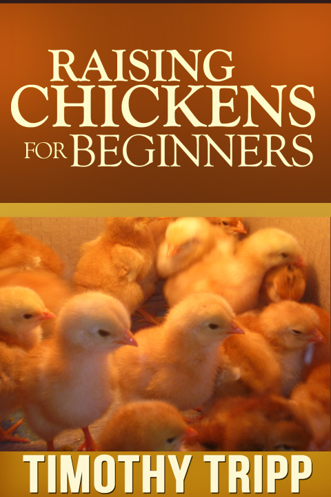 Cover image for book Raising Chickens For Beginners