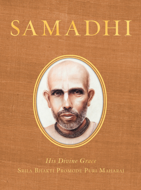 Cover image for book Samadhi