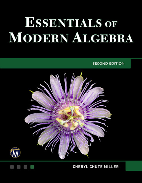 Cover image for book Essentials of Modern Algebra