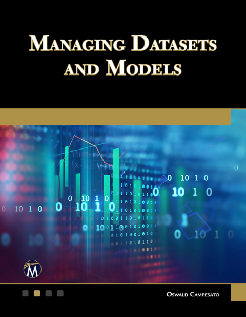 Cover image for book Managing Datasets and Models
