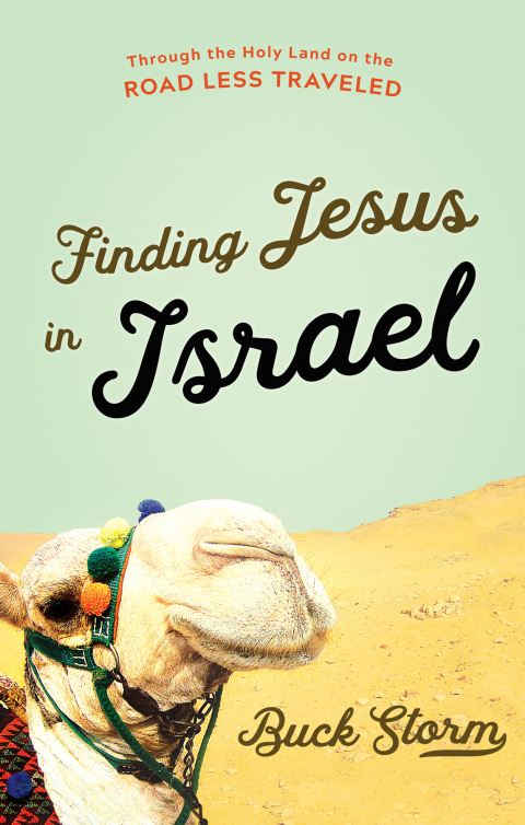 Cover image for book Finding Jesus in Israel